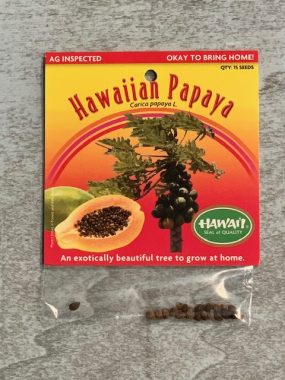 hawaiian papaya