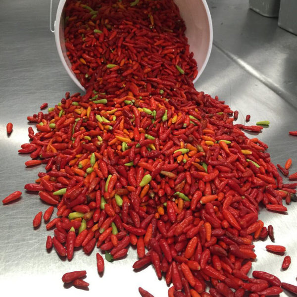Kauai Hawaiian Chili Pepper Water - Image 3