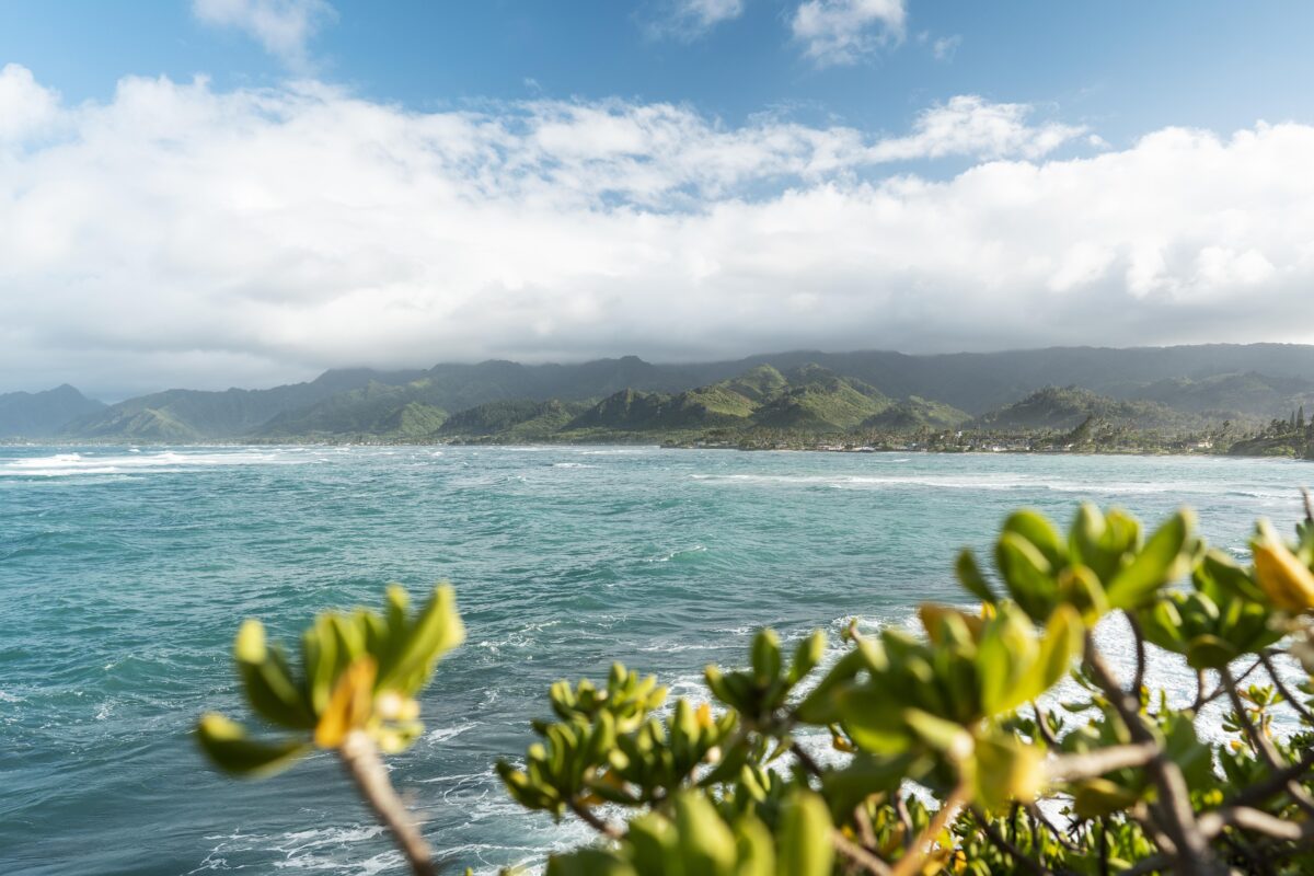 Tutu's Pantry Goodies made in Hawaii with Aloha 4 Tutu's Pantry - Favorite Maui Beaches: Sun, Sand & Aloha - 3