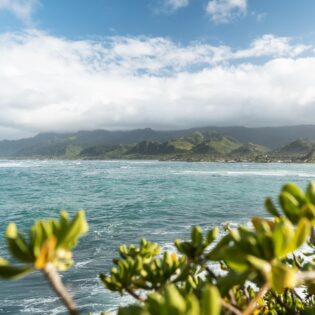 Tutu's Pantry Goodies made in Hawaii with Aloha 16 Tutu's Pantry - Tutu's Blog - 15